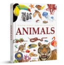 Image for Knowledge Encyclopedia: Animals