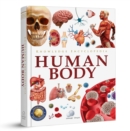 Image for Knowledge Encyclopedia : Human Body