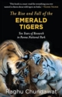 Image for The Rise and Fall of the Emerald Tigers