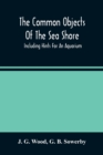 Image for The Common Objects Of The Sea Shore