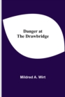 Image for Danger at the Drawbridge