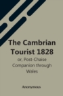 Image for The Cambrian Tourist 1828 : Or, Post-Chaise Companion Through Wales