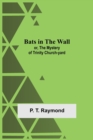 Image for Bats In The Wall; Or, The Mystery Of Trinity Church-Yard