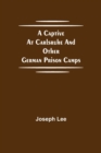 Image for A Captive at Carlsruhe and Other German Prison Camps