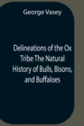 Image for Delineations Of The Ox Tribe The Natural History Of Bulls, Bisons, And Buffaloes. Exhibiting All The Known Species And The More Remarkable Varieties Of The Genus Bos.