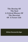 Image for The Destiny of the Soul A Critical History of the Doctrine of a Future Life