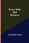Image for Essays Irish and American