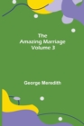 Image for The Amazing Marriage - Volume 3