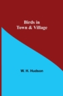 Image for Birds in Town &amp; Village
