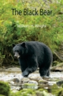Image for The Black Bear