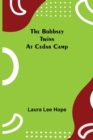 Image for The Bobbsey Twins at Cedar Camp
