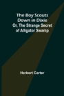 Image for The Boy Scouts Down in Dixie; or, The Strange Secret of Alligator Swamp
