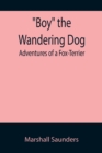 Image for Boy the Wandering Dog : Adventures of a Fox-Terrier