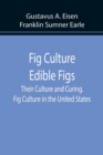 Image for Fig Culture Edible Figs : Their Culture and Curing. Fig Culture in the United States.