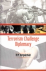 Image for Terrorism Challenge Diplomacy