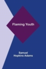 Image for Flaming Youth