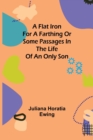 Image for A Flat Iron for a Farthing or Some Passages in the Life of an only Son