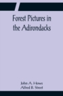 Image for Forest Pictures in the Adirondacks