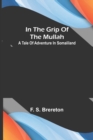 Image for In the grip of the Mullah; A tale of adventure in Somaliland