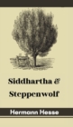 Image for Siddhartha &amp; Steppenwolf
