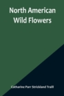 Image for North American Wild Flowers