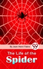 Image for Life Of The Spider