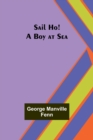 Image for Sail Ho! A Boy at Sea