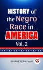 Image for History Of The Negro Race In America Vol. 2