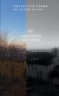 Image for As Meaning Returns