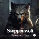 Image for Steppenwolf