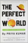Image for The Perfect World: A Journey to Infinite Possibilities