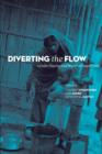 Image for Diverting the flow  : gender equity and water in South Asia