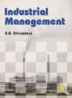 Image for Industrial Management