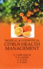 Image for Tropical and Subtropical Citrus Health Management