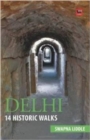 Image for Delhi: 14 Historic Walks