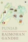 Image for Punjab : A History from Aurangzeb to Mountbatten