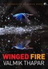 Image for Winged Fire