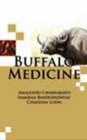 Image for Buffalo Medicine