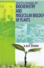 Image for Encyclopaedia Of Biochemistry And Molecular Biology Of Plants Volume-1