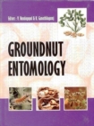 Image for Groundnut Entomology