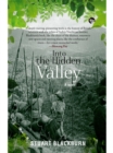 Image for Into the Hidden Valley: A Novel
