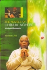 Image for Novels of Chinua Achebe: A Colonial Encounter
