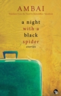 Image for A Night with a Black Spider