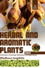 Image for HERBAL AND AROMATIC PLANTS - 40. Madhuca longifolia (Mahua)