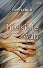 Image for Invisible Walls