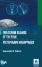 Image for Endocrine Glands of the Fish
