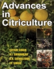 Image for Advances In Citriculture