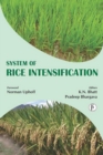 Image for System of Rice Intensification