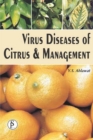 Image for Virus Diseases of Citrus and Management