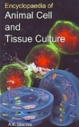 Image for Encyclopaedia Of Animal Cell And Tissue Culture